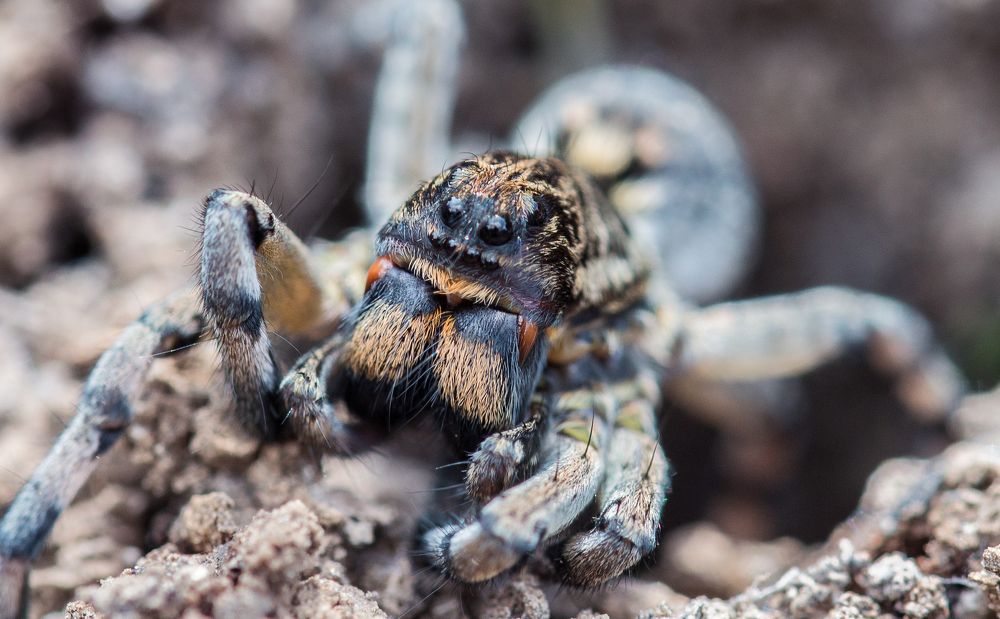 Photograph by Николай Багно