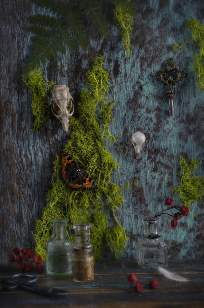 Photograph by Svoboda Andreeva