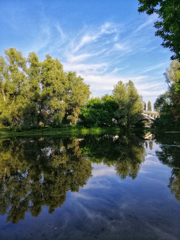 Photo #6995746