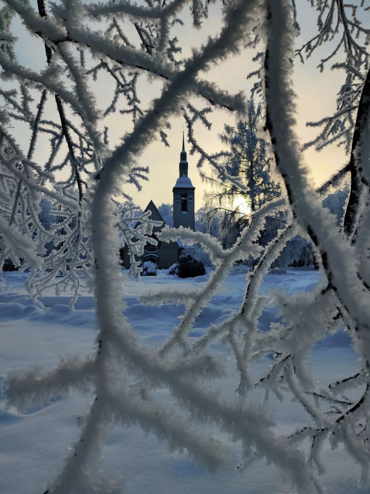 Photograph by Anastasia Uraeva