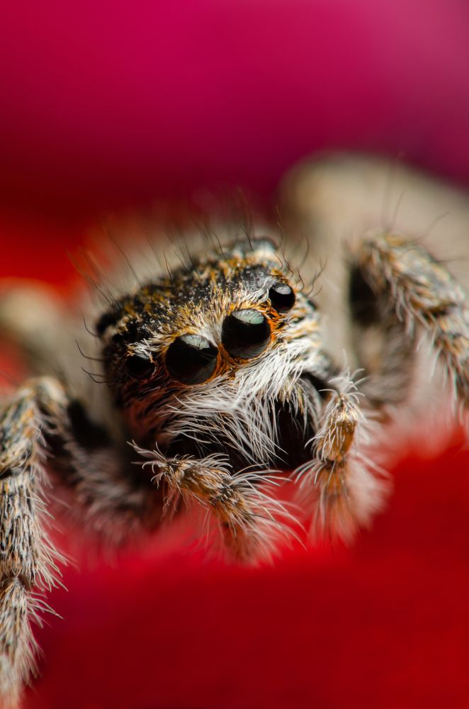 Photograph by Сергей Масленников