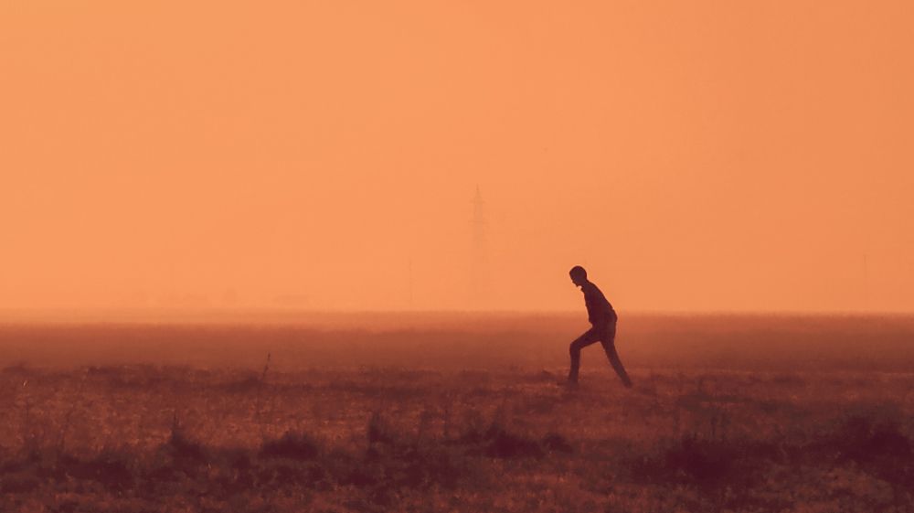 Photo #6995779