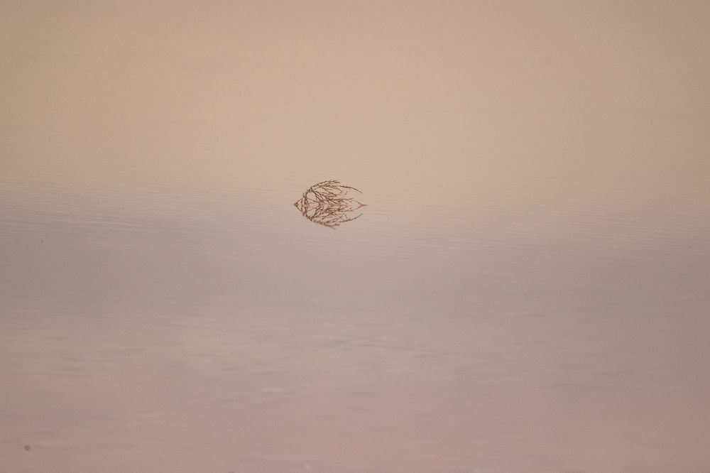 Photograph by Светлана Барабанщикова