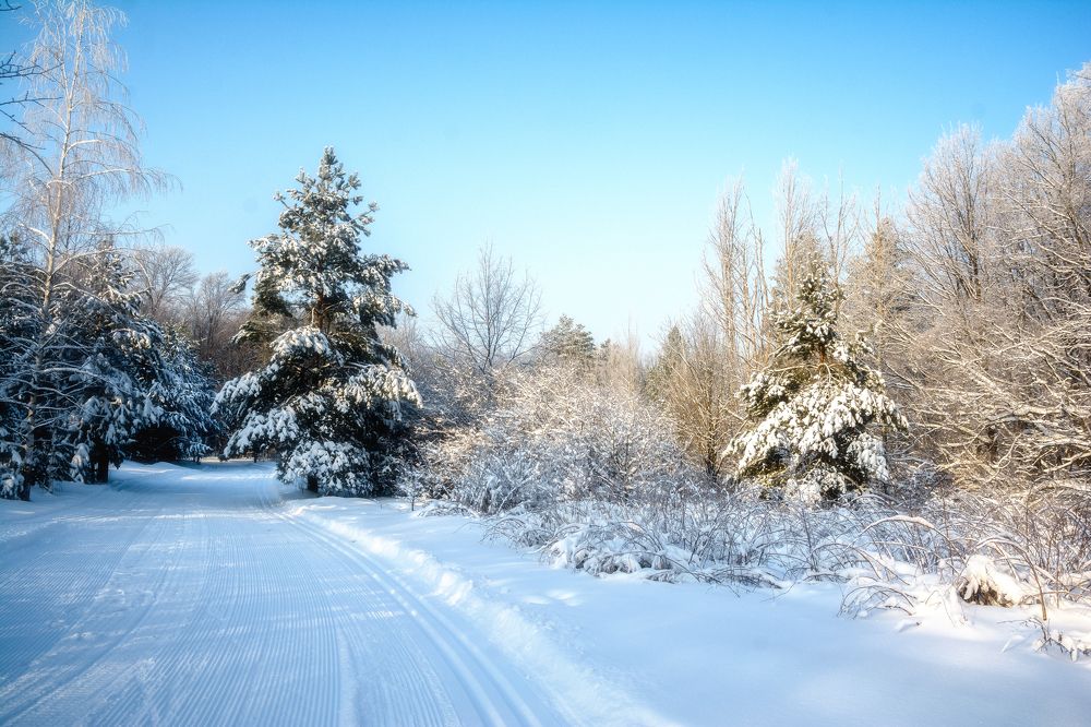 Photograph by Архипов Михаил