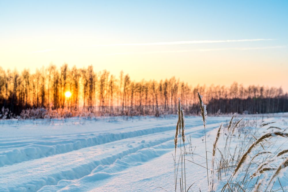 Photograph by Архипов Михаил