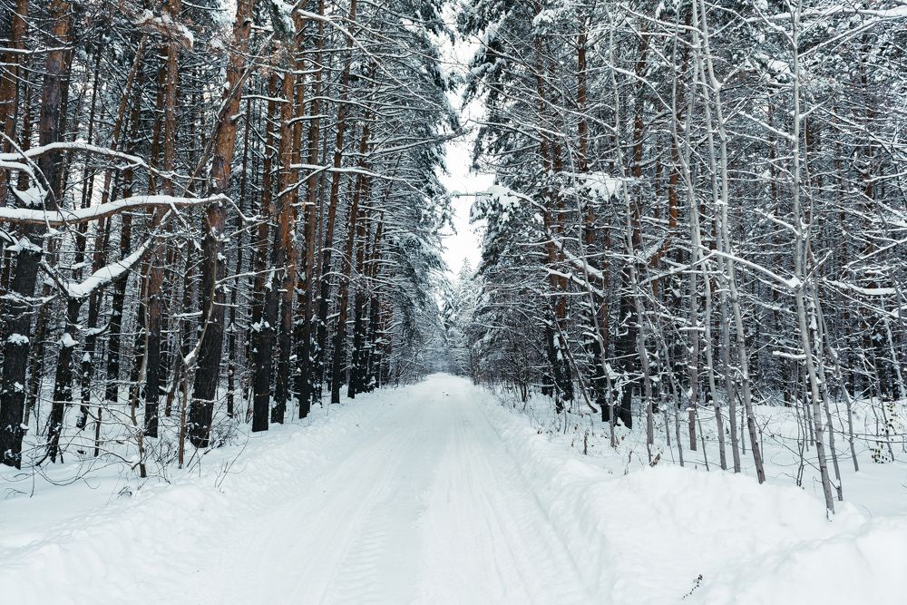 Photograph by Архипов Михаил