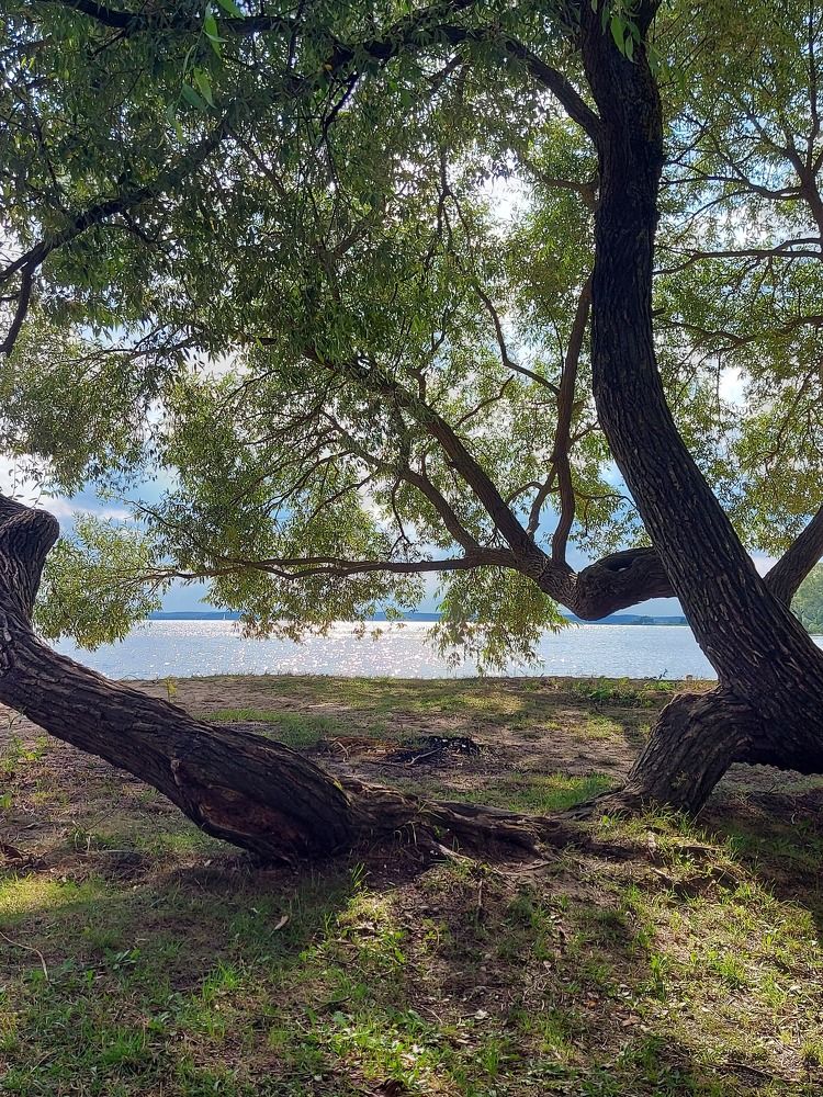 Photograph by Екатерина Мосевич