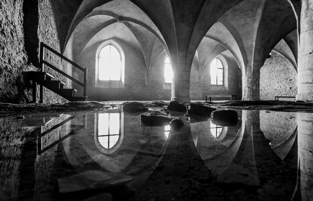 Photograph by Nikita Pazin