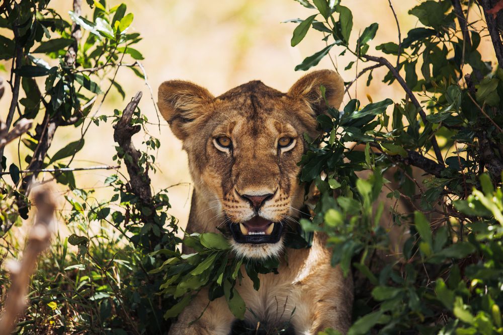 Photograph by Юрий Паккерт