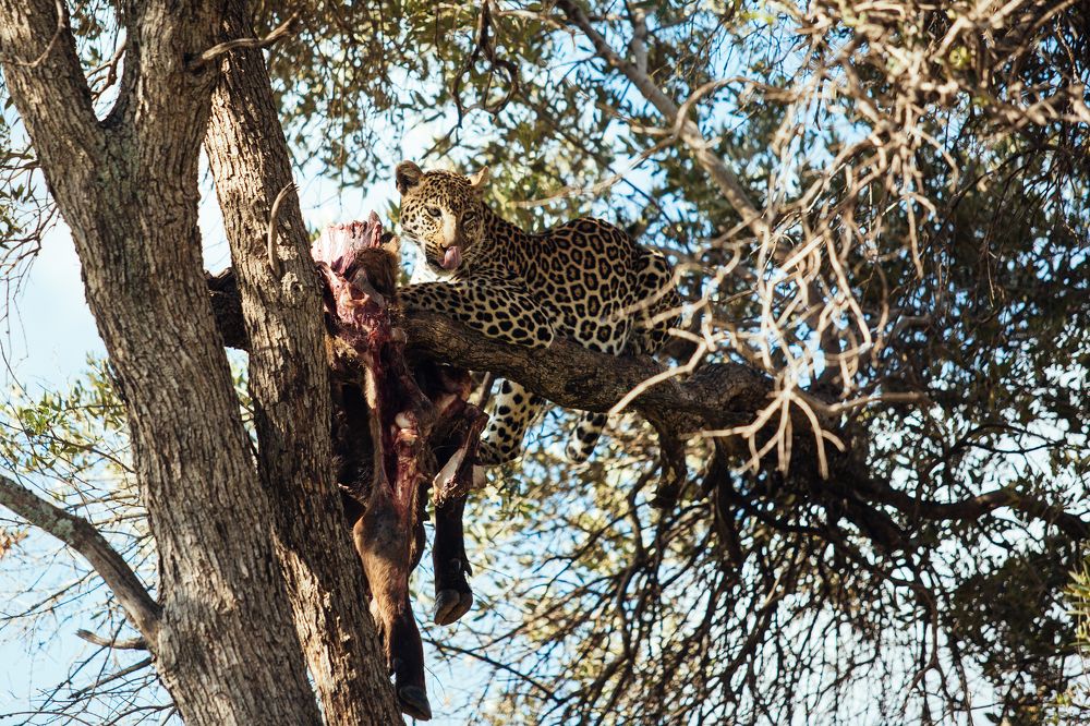 Photograph by Юрий Паккерт