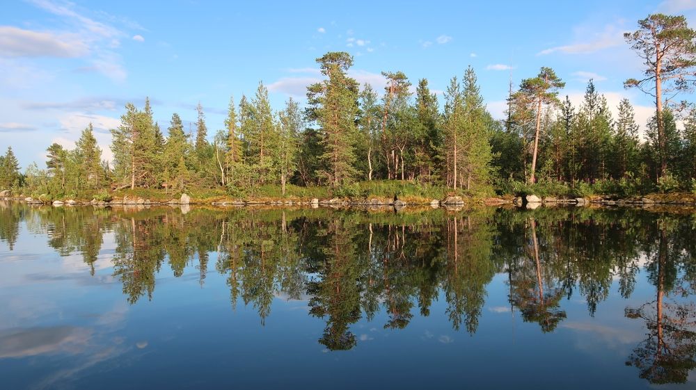 Photograph by Алина Голубева