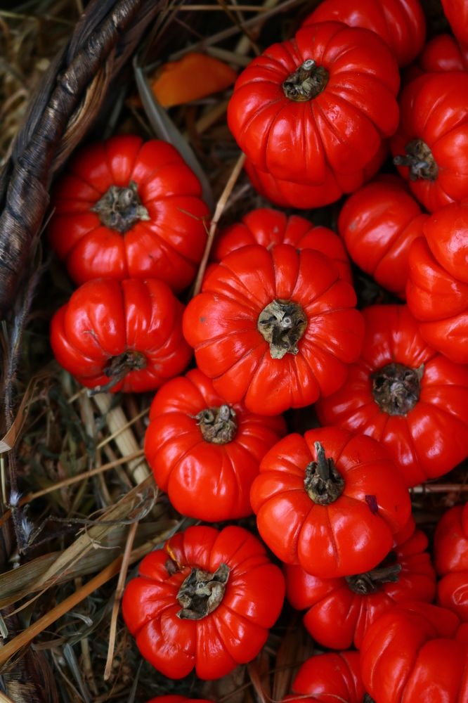 Photograph by Светлана Шуткова