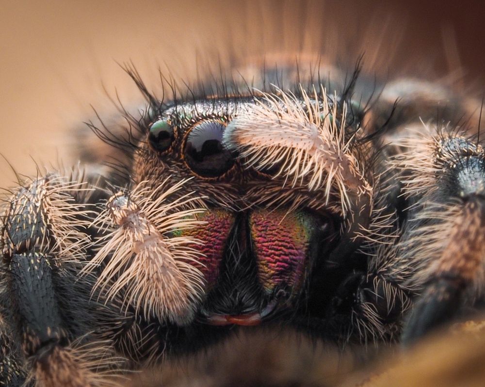 Photograph by Endra Agust