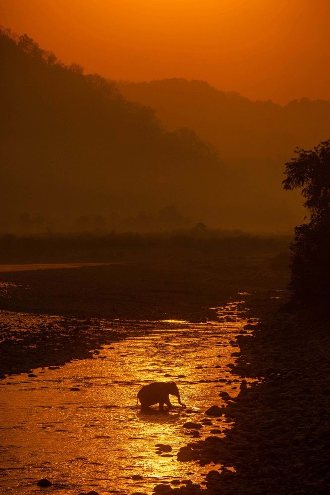 Photograph by Abhaya Shukla