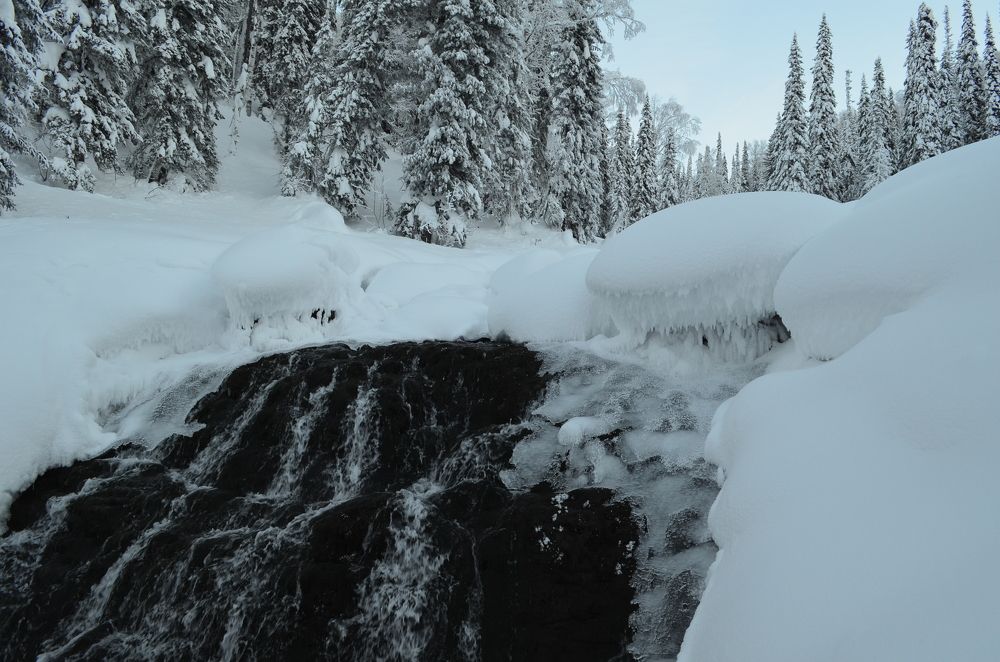 Photograph by Елена Кожевникова