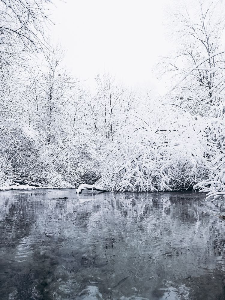 Фотография автора Илья Исаев