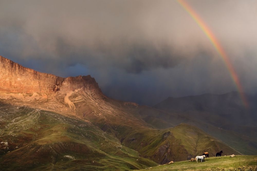 Под радугой