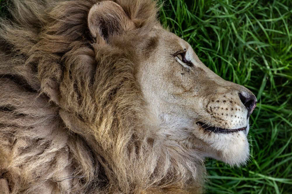 Photograph by Василий Бережной