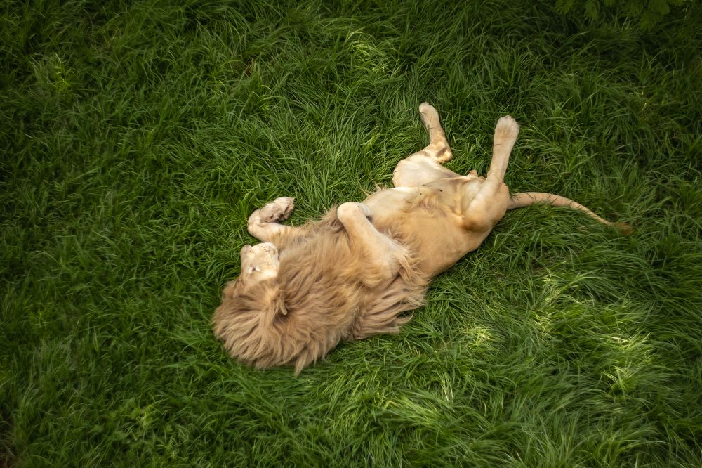 Photograph by Василий Бережной