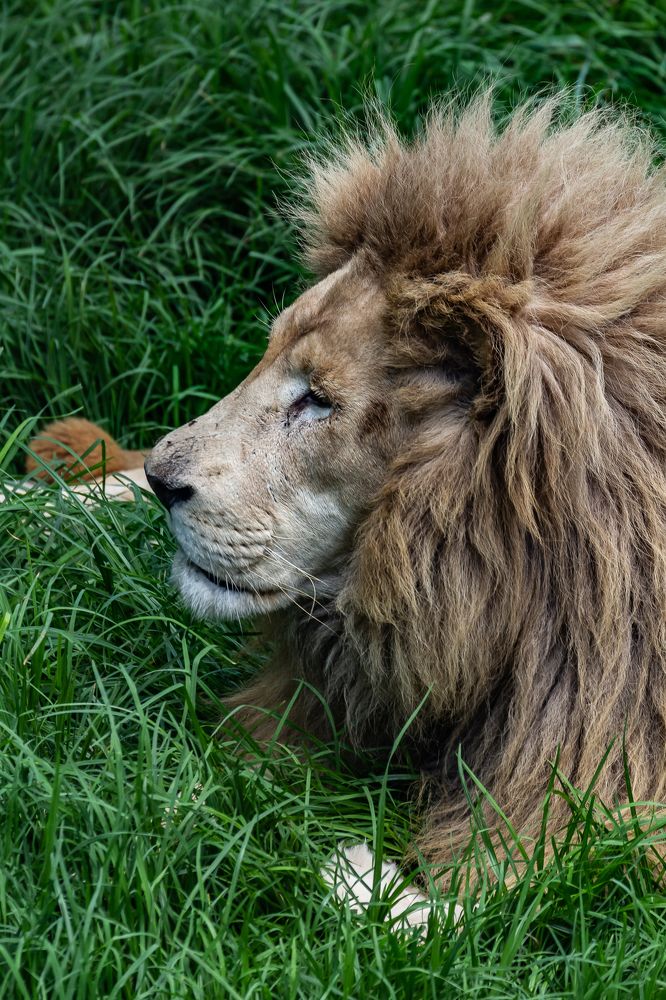 Photograph by Василий Бережной