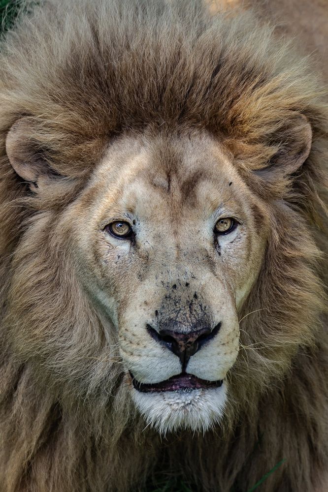 Photograph by Василий Бережной