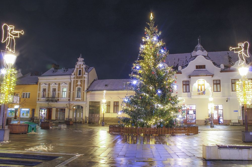 Christmas tree in the city center