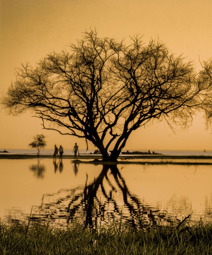 Photograph by ABDALLA Obada Abdelwahab