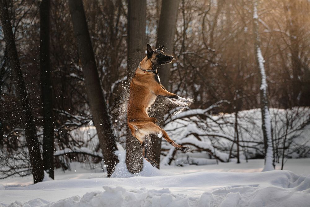 Photograph by Татьяна Степанова