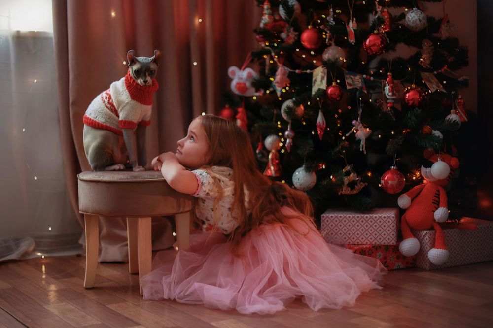 Photograph by Светлана Хижняк