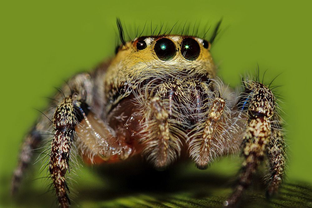 Photograph by Partha Chakraborty