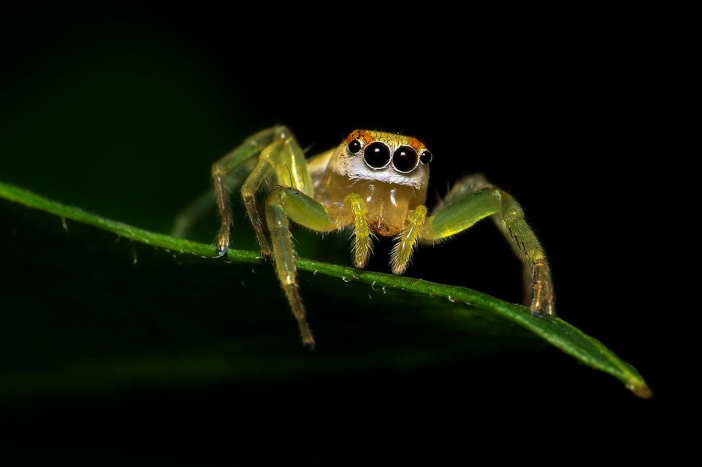 Photograph by Partha Chakraborty