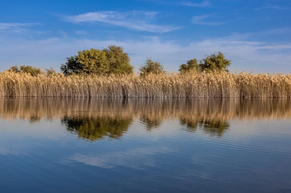 Photograph by Pavel Chuchalin