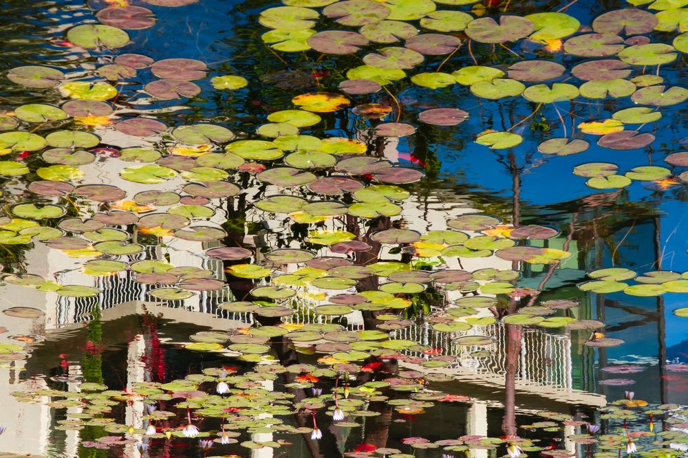 Photograph by Leonid Radashkovsky