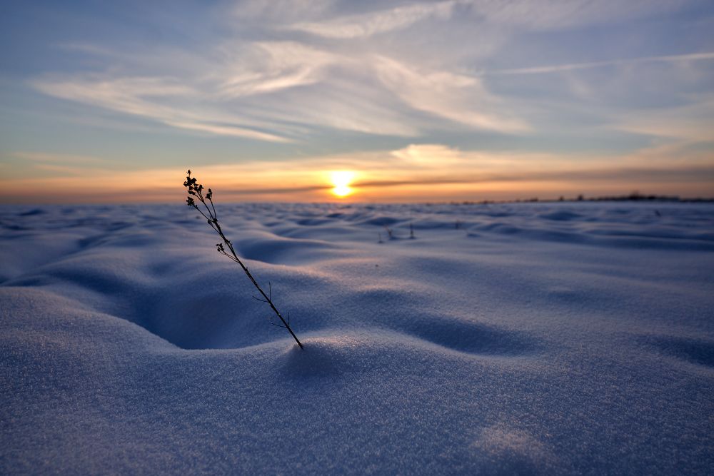 Фотография автора Сергей Леденёв