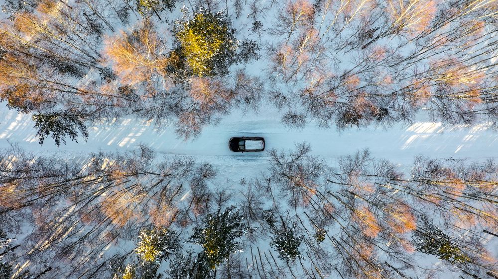 Photograph by Дмитрий Храмцов