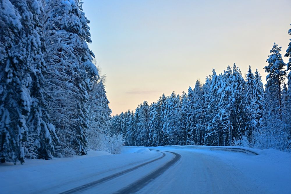 Photograph by Корень Наташа