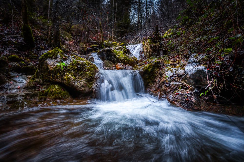 Photograph by Pavel Chuchalin