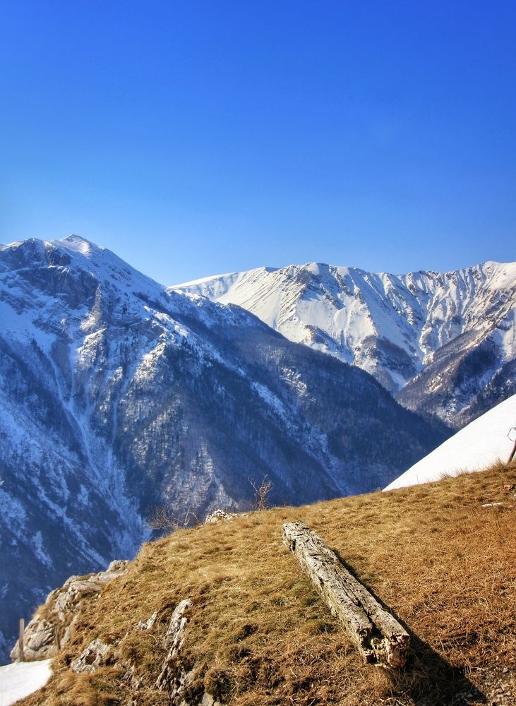 Photograph by Safet isovic