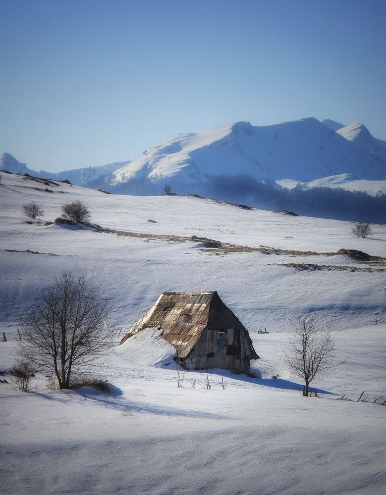 Photograph by Safet isovic