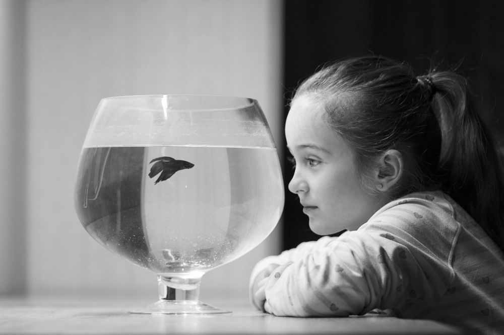 Photograph by Ирина