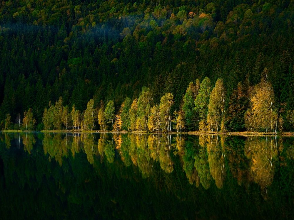 Photograph by Adrian Adi Gli