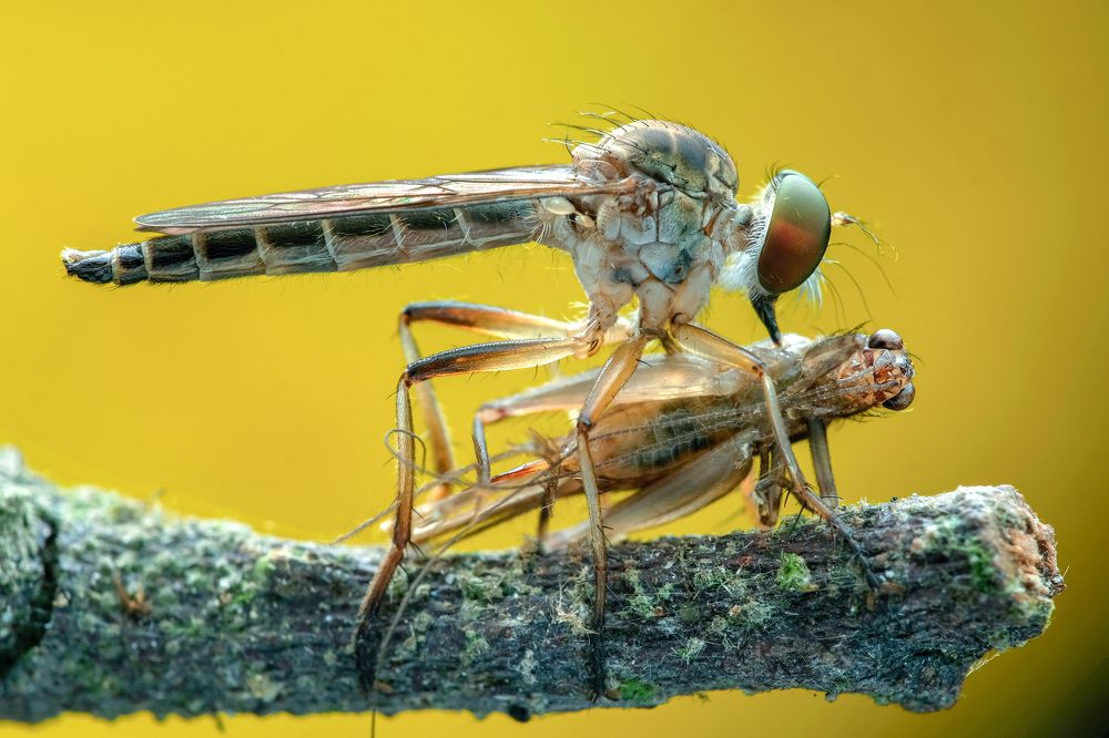 Photograph by KAIYEN LEE