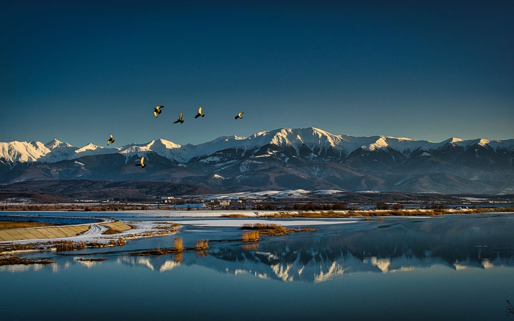 Photograph by Adrian Adi Gli