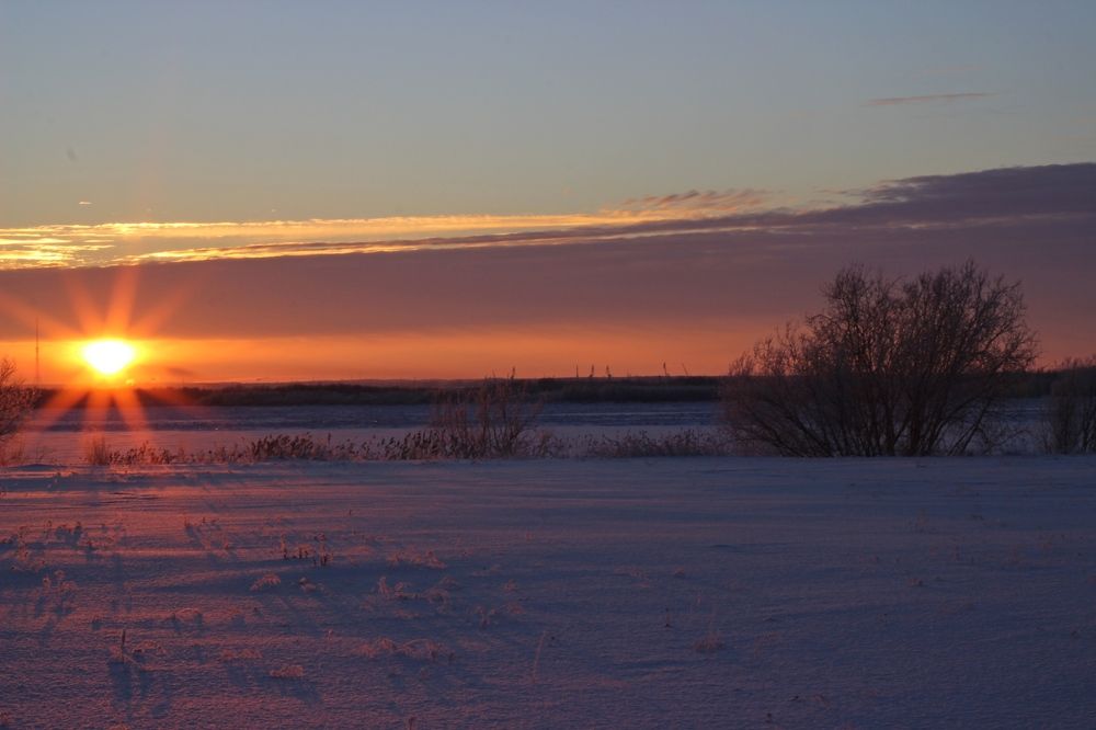 Photograph by Елена Петрова