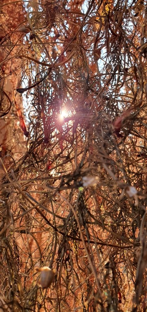 Photograph by Мирлан Жолчуев