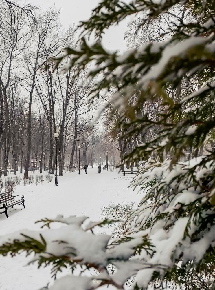 Photograph by Юлиана Шабовта