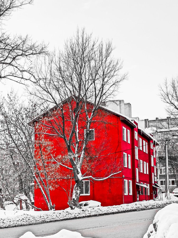 Photograph by Стефанова Татьяна