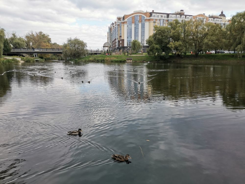 Photograph by Юрий Бирюков