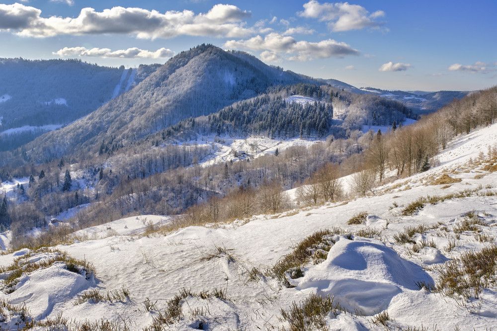 Photograph by Александр