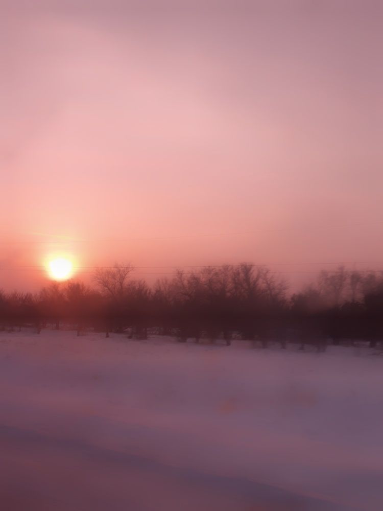 Фотография автора Марина Маллаева